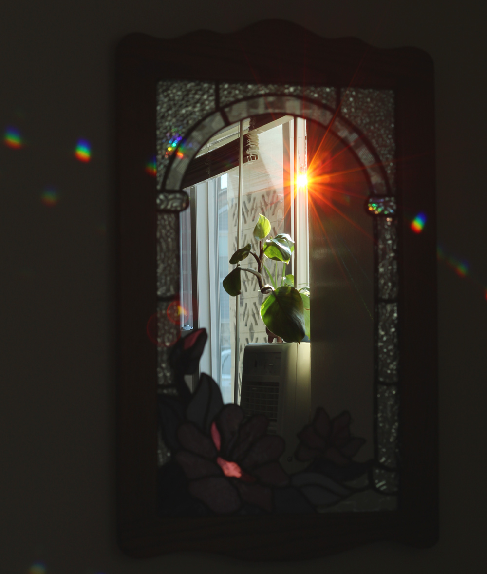 A green plant sitting on top of a window AC unit with light refracting through the window, creating a rainbow